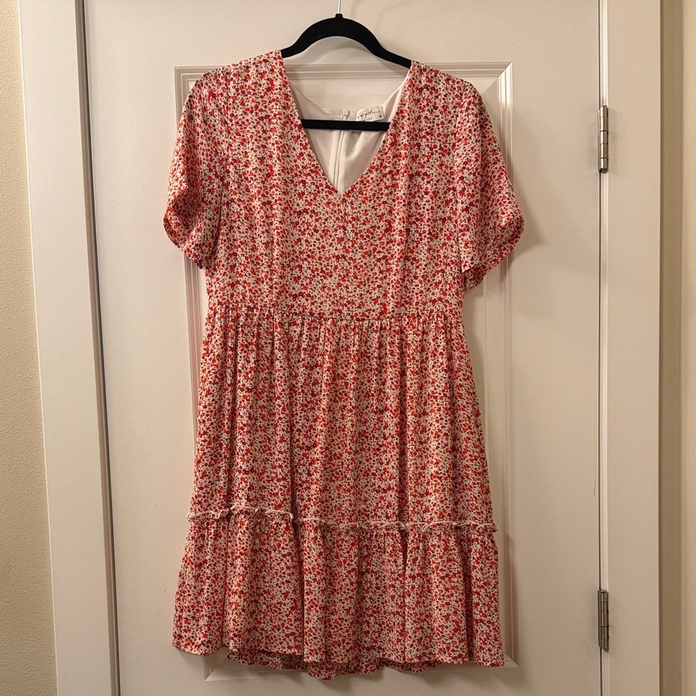 Pink Lily x Living my best life- Red Floral Mini Dress